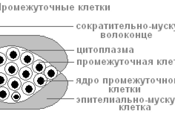Solaris даркнет