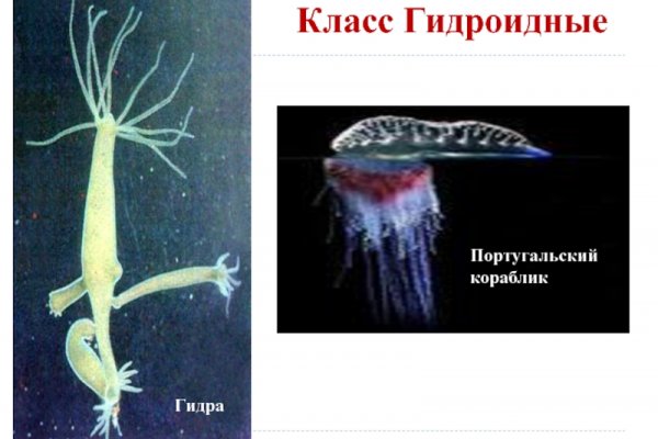 Кракен маркет kr2web in