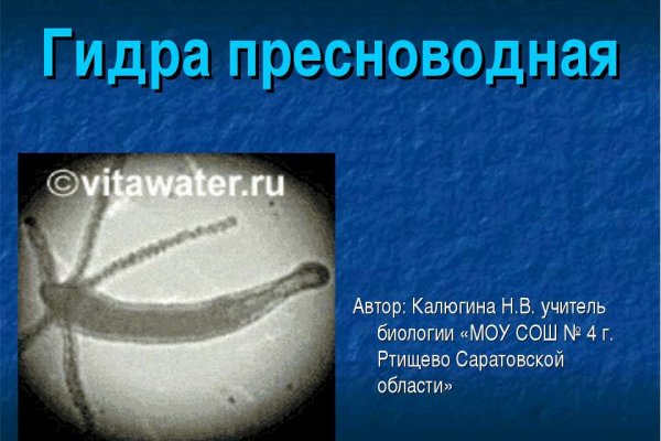 Кракен войти сегодня