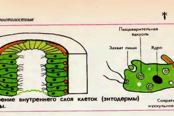 Кракен даркнет только через тор скачать