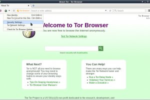 Kraken url