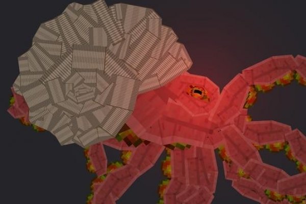 Kraken это