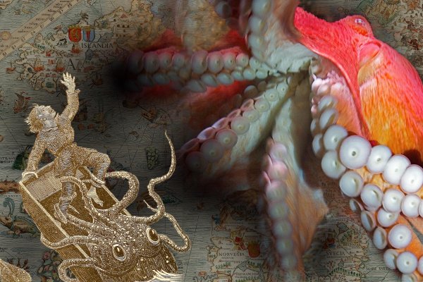 Kraken darknet зеркала