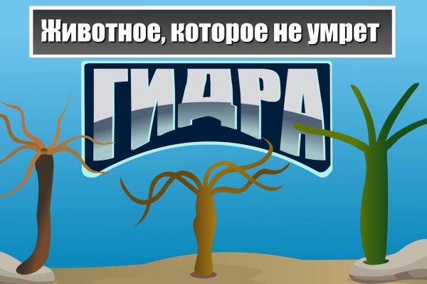 Kra49.at Вход на сайт главная страница
